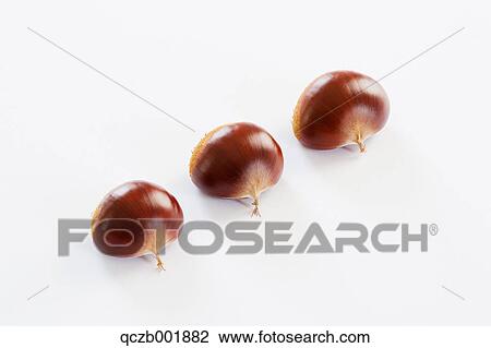 Chestnuts View Large Photo Image Stock Image - Chestnuts. Fotosearch