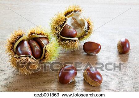 Chestnuts View Large Photo Image Stock Photo - Chestnuts. Fotosearch