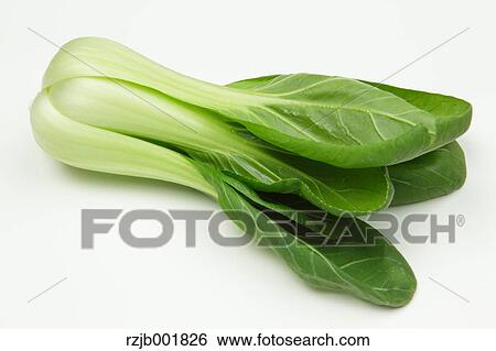 Chinese cabbage View Large Photo Image Stock Photograph - Chinese cabbage. Fotosearch
