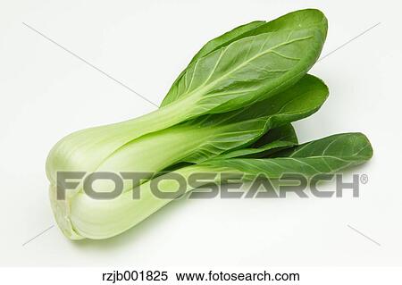 Chinese cabbage View Large Photo Image Stock Photography - Chinese cabbage. Fotosearch
