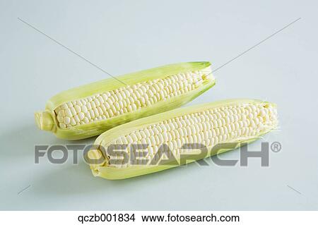 Corn View Large Photo Image Picture - Corn. Fotosearch