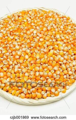 Stock Photo - Corn. Fotosearch