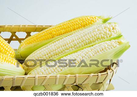 Corn View Large Photo Image Stock Photograph - Corn. Fotosearch
