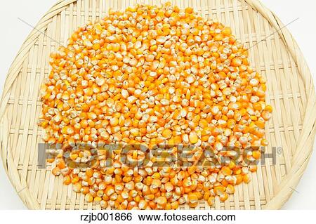 Stock Photograph - Corn. Fotosearch
