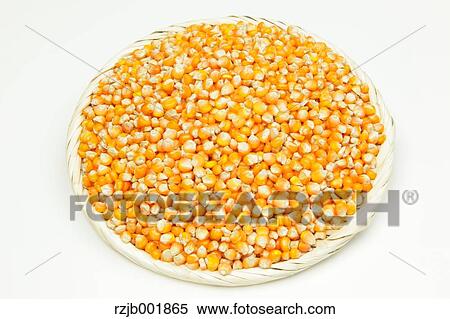 Stock Photography - Corn. Fotosearch