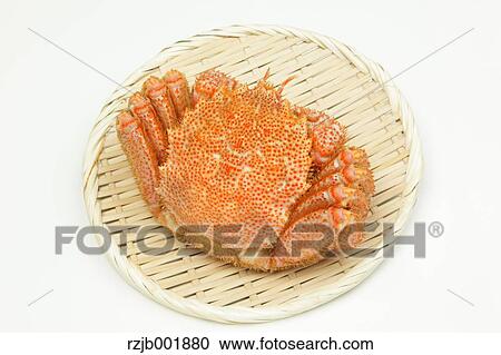 Stock Image - Crab. Fotosearch