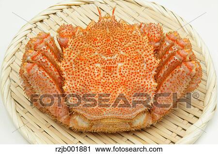 Stock Image - Crab. Fotosearch