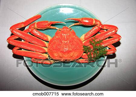 Crab View Large Photo Image Stock Photography - Crab. Fotosearch