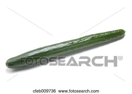 Cucumber View Large Photo Image Stock Photograph - Cucumber. Fotosearch