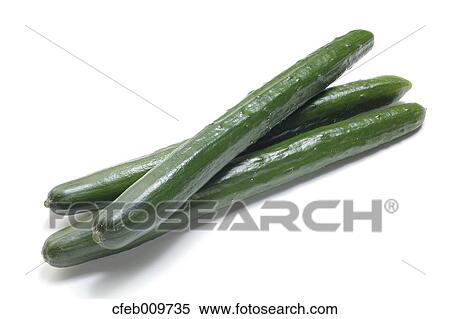 Cucumber View Large Photo Image Stock Photography - Cucumber. Fotosearch
