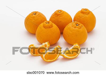 Dekopon fruits View Large Photo Image Stock Image - Dekopon fruits. Fotosearch