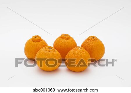 Dekopon fruits View Large Photo Image Stock Photo - Dekopon fruits. Fotosearch