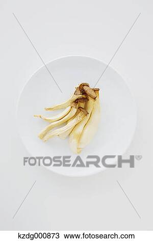 Dried mushrooms View Large Photo Image Stock Image - Dried mushrooms. Fotosearch