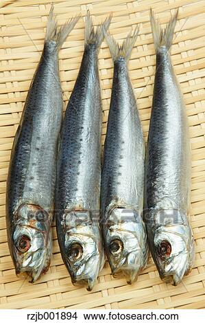 Dried Sardines View Large Photo Image Picture - Dried Sardines. Fotosearch