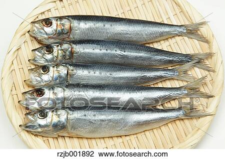 Stock Image - Dried Sardines. Fotosearch