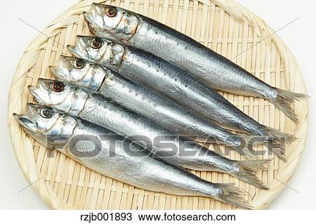 Dried Sardines View Large Photo Image Stock Image - Dried Sardines. Fotosearch