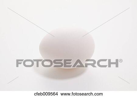 Egg View Large Photo Image Picture - Egg. Fotosearch
