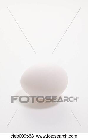 Stock Image - Egg. Fotosearch