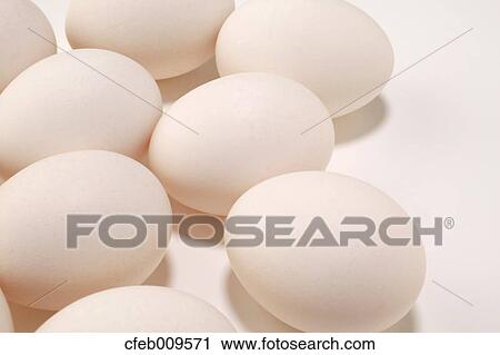 Eggs View Large Photo Image Stock Image - Eggs. Fotosearch