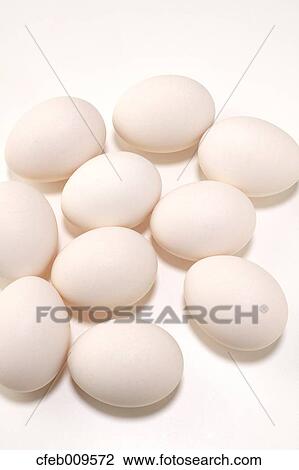 Eggs View Large Photo Image Stock Image - Eggs. Fotosearch