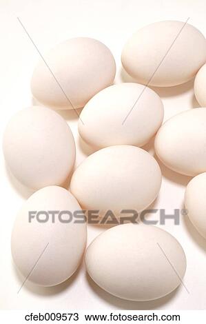 Stock Image - Eggs. Fotosearch