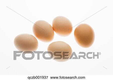 Eggs View Large Photo Image Stock Photo - Eggs. Fotosearch