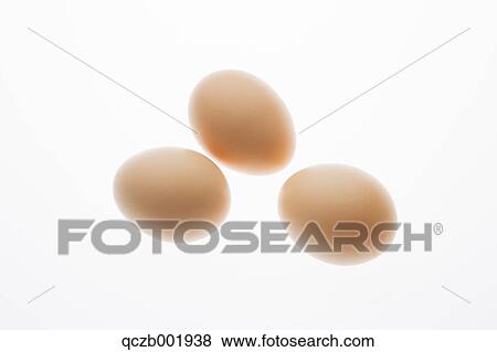 Stock Photo - Eggs. Fotosearch