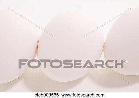 Eggs View Large Photo Image Stock Photography - Eggs. Fotosearch