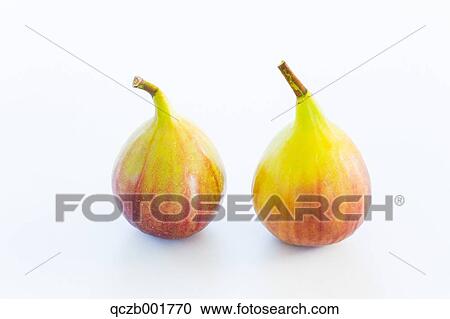 Figs View Large Photo Image Stock Image - Figs. Fotosearch