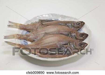 Flounder View Large Photo Image Stock Image - Flounder. Fotosearch
