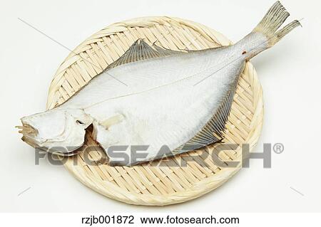 Stock Image - Flounder. Fotosearch