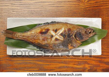 Flounder View Large Photo Image Stock Photo - Flounder. Fotosearch