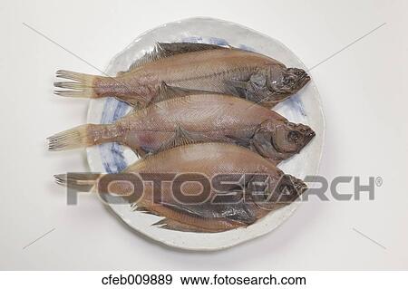 Flounder View Large Photo Image Stock Photo - Flounder. Fotosearch
