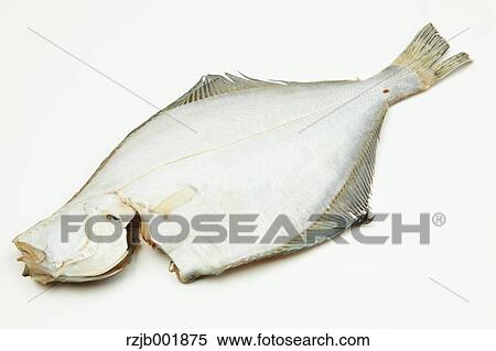 Stock Photography - Flounder. Fotosearch