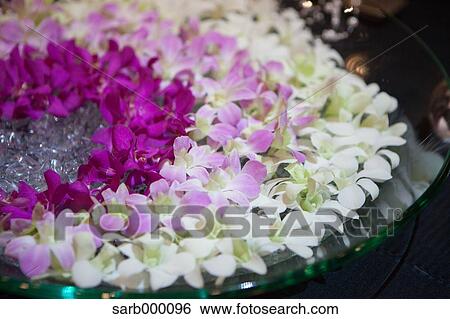 Stock Photograph - Flower arrangement. Fotosearch