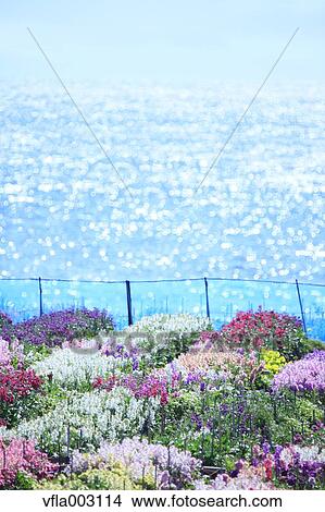 Flower Garden View Large Photo Image Picture - Flower Garden. Fotosearch