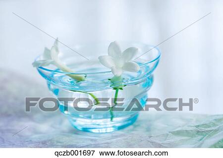 Flowers in water glass View Large Photo Image Stock Photo - Flowers in water glass. Fotosearch