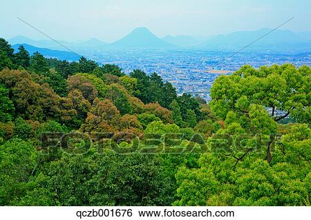 Forest and cityscape View Large Photo Image Stock Photograph - Forest and cityscape. Fotosearch
