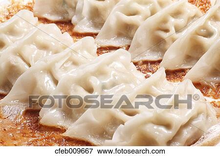 Fried Gyoza dumplings View Large Photo Image Stock Photo - Fried Gyoza dumplings. Fotosearch