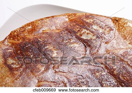Fried Gyoza dumplings View Large Photo Image Stock Photo - Fried Gyoza dumplings. Fotosearch