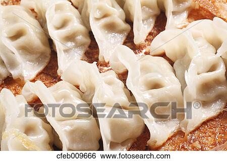 Fried Gyoza dumplings View Large Photo Image Stock Photograph - Fried Gyoza dumplings. Fotosearch