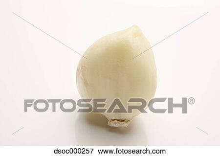 Garlic View Large Photo Image Stock Photo - Garlic. Fotosearch