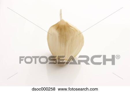Garlic View Large Photo Image Stock Photo - Garlic. Fotosearch