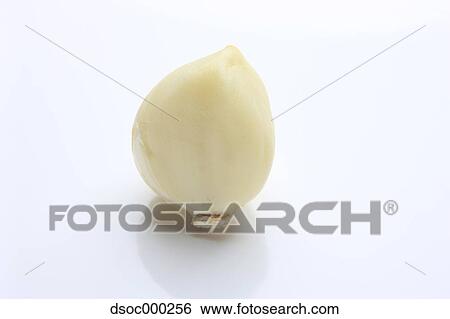 Garlic View Large Photo Image Stock Photograph - Garlic. Fotosearch