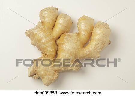 Ginger Root View Large Photo Image Stock Photo - Ginger Root. Fotosearch