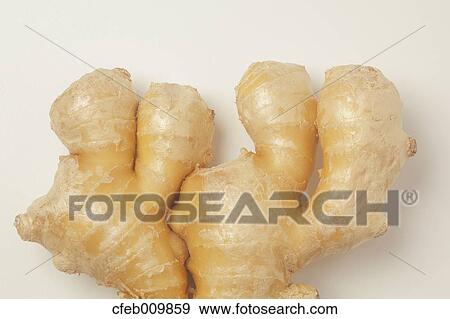 Ginger Root View Large Photo Image Stock Photo - Ginger Root. Fotosearch