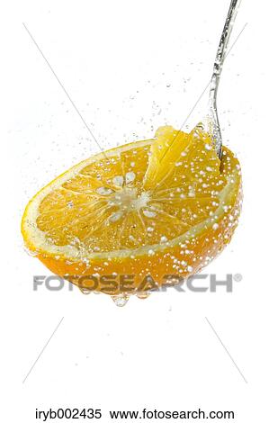 Grapefruit View Large Photo Image Stock Photography - Grapefruit. Fotosearch