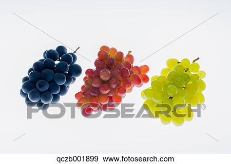 Grapes View Large Photo Image Stock Photo - Grapes. Fotosearch