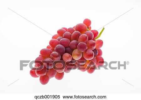 Grapes View Large Photo Image Stock Photography - Grapes. Fotosearch