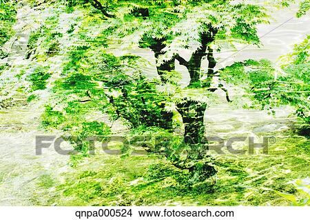 Green leaves View Large Photo Image Picture - Green leaves. Fotosearch